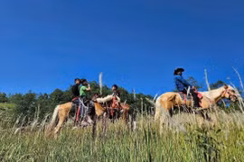Horseback trekking launched at Vietnam’s northernmost point (Photo: VNA) 