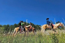 Horseback trekking launched at Vietnam’s northernmost point (Photo: VNA) 