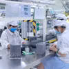 Production of electronic components at Star Engineers Vietnam Co., Ltd. in Binh Xuyen I Industrial Park, Phu Tho province (Photo: VNA) 