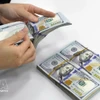 The daily reference exchange rate at 25,106 VND/USD on April 6. (Photo: VNA)