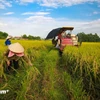 The ADB-BIDV package will provide sub-loans to agribusinesses engaged in sustainable agricultural production, climate adaptation, and resource efficiency. (Illustrative photo: VNA)