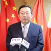 Chairman of RCEP Industry Cooperation Committee Xu Ningning (Photo: VNA)
