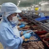 Workers process fish to be tinned for export at KTC Canned Food Factory under Kien Giang Trading JSC. (Photo: VNA)