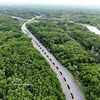 Can Gio mangrove forest in Ho Chi Minh City (Photo: VNA)
