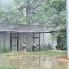Sarus cranes cranes are being cared for at Nakhon Ratchasima Zoo in Nakhon Ratchasima province, Thailand. (Photo: VNA)