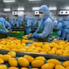 Workers at a food processing company in Dong Nai province (Photo: VNA)