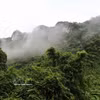A view of Phong Nha - Ke Bang National Park in Da Nang city (Photo: VNA)