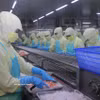 Workers process seafood for export at a plant in Ca Mau province. (Photo: VNA)