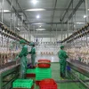 Inside a modern chicken processing plant equipped with advanced production lines in Tay Ninh province. (Photo vtcnews.vn)