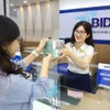 Many banks in Vietnam promote green credit for sustainable growth. (Photo: VNA)