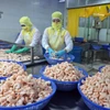 Shrimp processing for export at Huy Nam company, An Giang province. (Photo: VNA)