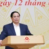 PM Pham Minh Chinh speaks at the meeting (Photo: VNA)