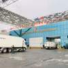 Trucks line up for customs clearance at the Bac Luan II Bridge, Mong Cai International Border Gate, Quang Ninh province. (Photo: VNA)