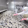 Workers process farm produce at the Coastal Fisheries Development Company (Cofidec) in Ho Chi Minh City. (Photo: VNA) 
