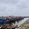 Community-led fisheries groups have become frontline defenders of coastal fisheries. (Photo: VNA)