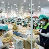 Workers in the Du Long Industrial Park, Khanh Hoa province. (Photo: VNA)