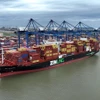 Import and export goods from a port of Vietnam (Photo: VNA).