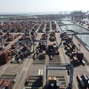 At Tan Cang - Cai Mep International Terminal (Photo: VNA)