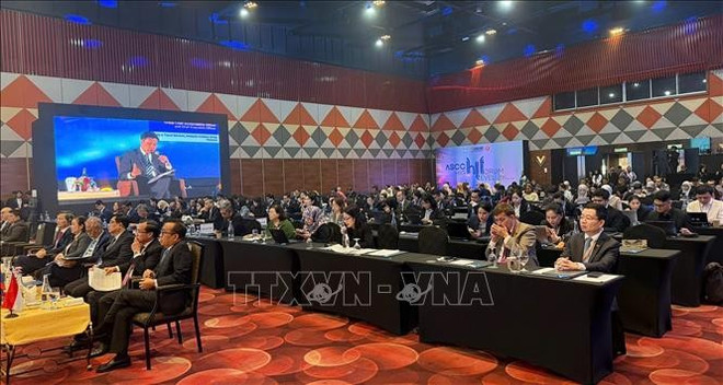 An overview of the event (Photo: VNA)