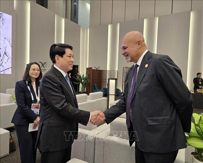 State President Luong Cuong meets with Deputy Prime Minister and head of the Papua New Guinea delegation John Rosso. (Photo: VNA) uuid261ce6ec-3317-4a7e-8e65-d9851f1933a9code001library1type1mode1loctruecaptrue-1.jpg