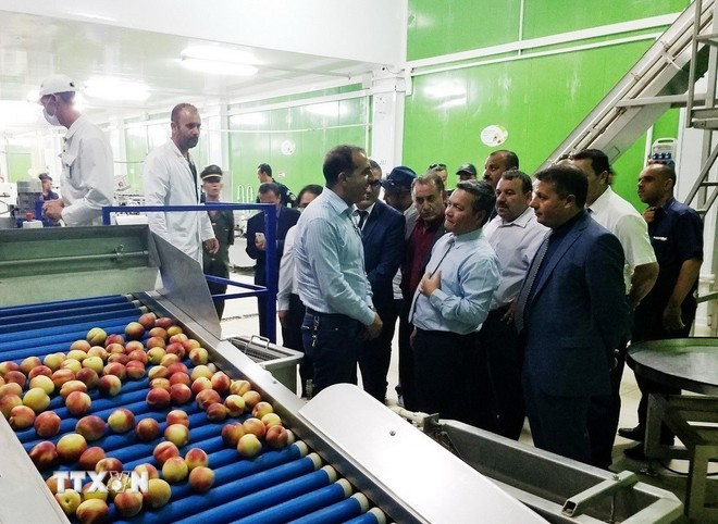 A delegation of the Vietnamese Embassy in Algeria visits a business in Médéa, Algeria (Photo: VNA)