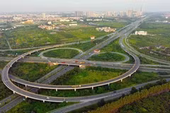 Argentina, businesses, market expansion, Vietnam