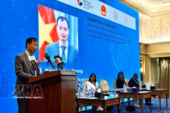Egypt promotes implementation of Hanoi Convention against cybercrime
