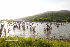 Traditional fishing festival draws crowds in Ha Tinh