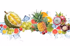 Virbrant activities at Southern Fruit Festival 2025