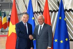 Top leader’s visits to EU, Belgium yield practical outcomes