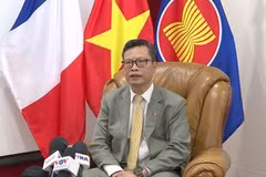 Vietnam, France build new momentum for cooperation