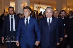 Vietnamese, French leaders meet leading businesses
