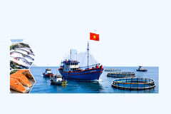Aquaculture rises as "green pillar" of Vietnam's agriculture