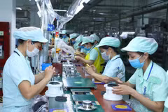 Northern Vietnam sees strong FDI inflow in Q1 2025