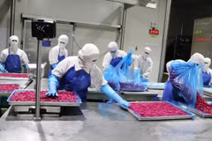 Technology boosts competitiveness of Vietnamese agricultural products