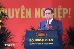 Foreign ministry must deepen “bamboo diplomacy”: PM