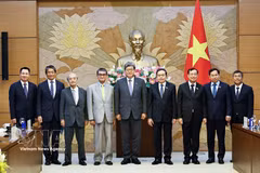 Vietnam, Japan strengthen parliamentary cooperation