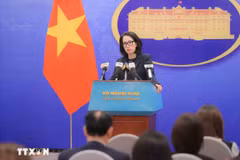 Overseas Vietnamese in quake-hit areas in Russia remain safe: Spokeswoman