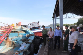 Vice Chairman of the Ho Chi Minh City People’s Committee Hoang Nguyen Dinh inspects IUU fishing prevention efforts at Hung Thai Port in Long Hai commune. (Photo: VNA)