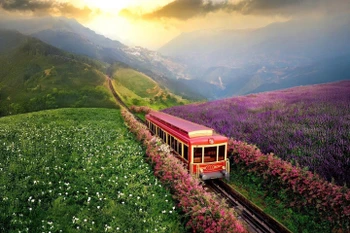 The Muong Hoa mountain train enhances green tourism experiences for visitors to Sa Pa. (Photo published by VNA)
