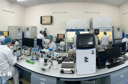 A biotechnology laboratory of the International University at Vietnam National University-Ho Chi Minh City. (Photo: VNA)