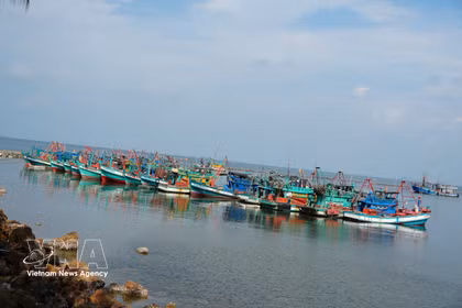 Fishing vessels owned by local fishermen are anchored off the coast of Ha Tien, An Giang province. (Photo: VNA)