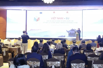 Deputy Minister of Foreign Affairs Le Thi Thu Hang speaks at the cultural event. (Photo: baoquocte.vn)