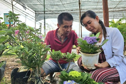 Le Hong Phuc and his wife Vo Thi Loan in Vinh Long province have developed their production of ornamental pots and bonsai trees using policy-based credit (Photo: VNA)