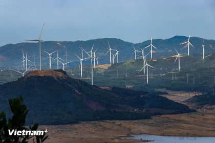 Enterprises expressed a desire for flexible internal quota coordination mechanisms, along with the early operation of a transparent carbon credit market. (Illustrative photo: VNA)