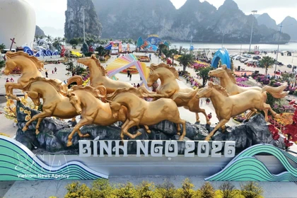 A panoramic view of the flower and light boulevard installation shimmering along the shore of the heritage bay. (Photo: VNA)
