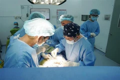 Doctors at Thong Nhat Hospital perform a kidney transplant using a kidney donated by the brain-dead donor. (Photo: VNA)