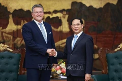 Deputy Prime Minister Bui Thanh Son (right) meets with EU Commissioner for Trade and Economic Security Maros Sefcovic in Hanoi on September 26. (Photo: VNA)