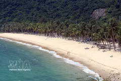 Pristine white-sand beach on Cu Lao Cham Island, Da Nang city, is a magnet for visitors. (Photo: VNA)