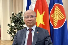 Vietnamese Ambassador to France Dinh Toan Thang (Photo: VNA)